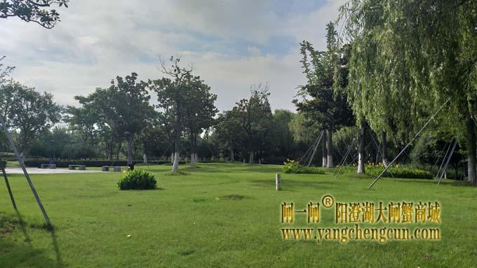 巴城生态湿地公园