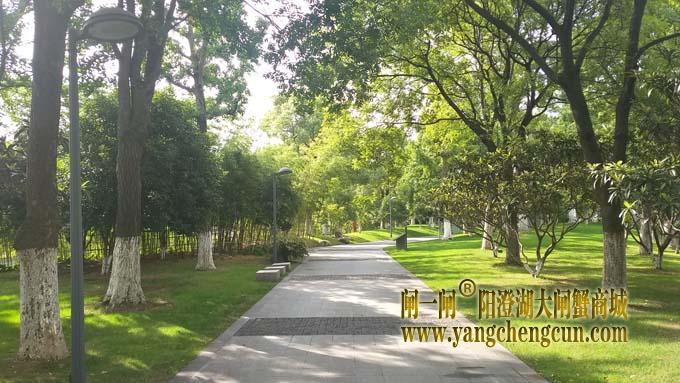 巴城生态湿地公园