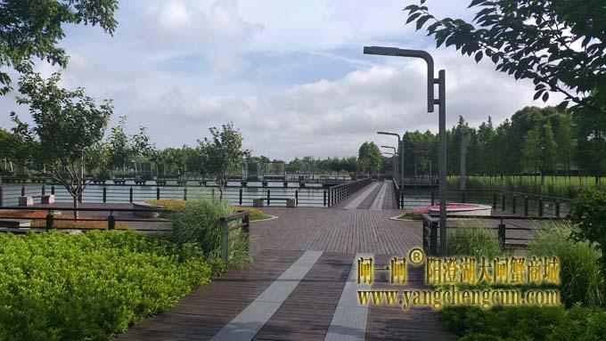 巴城生态湿地公园