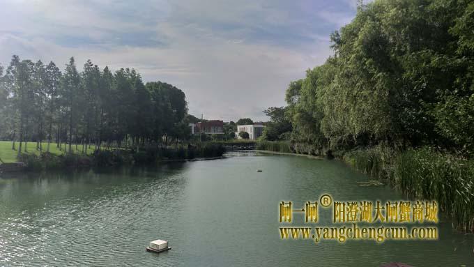 巴城生态湿地公园