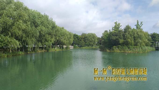 巴城生态湿地公园