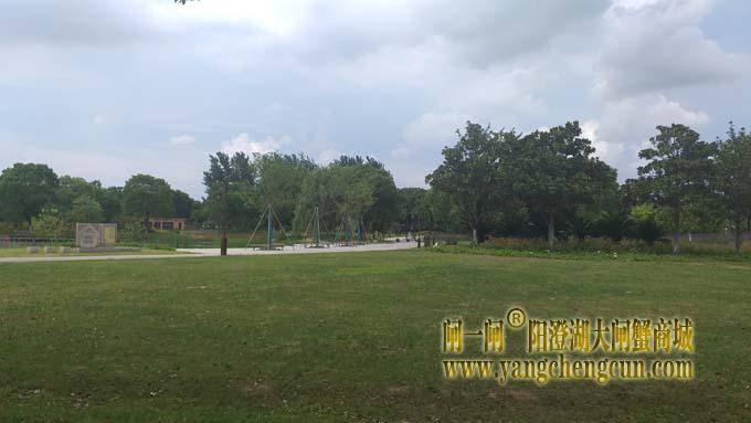 阳澄湖畔巴解园