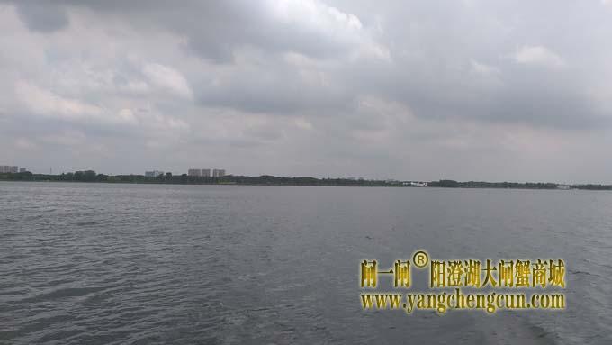 阳澄湖畔巴解园