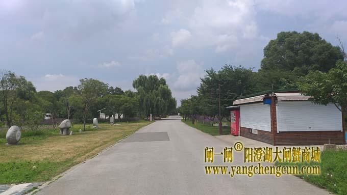 阳澄湖畔巴解园
