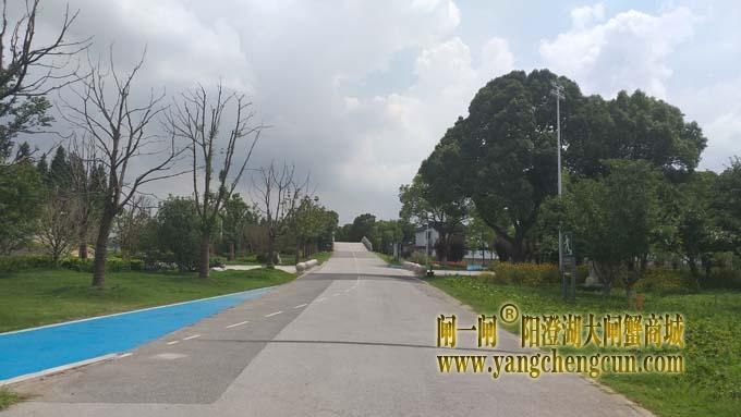 阳澄湖畔巴解园