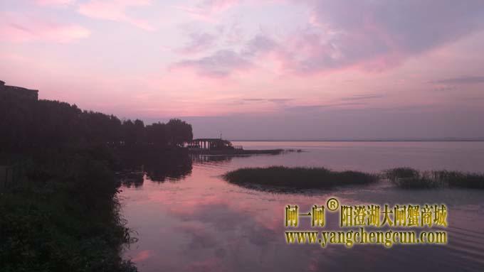 阳澄湖畔——阳澄湖半岛看日出