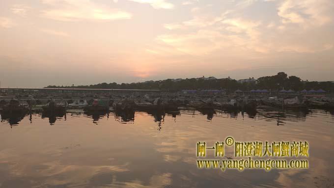 阳澄湖畔——阳澄湖半岛看日出