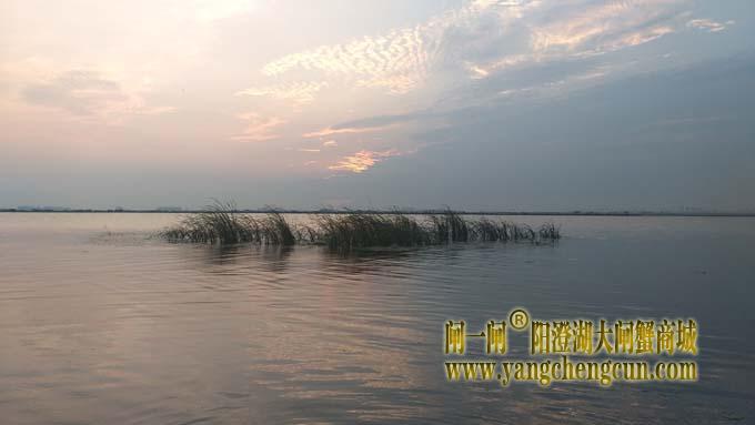 阳澄湖畔——阳澄湖半岛看日出