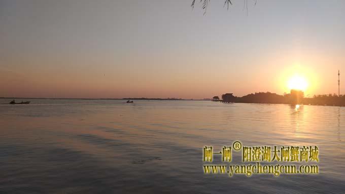 阳澄湖畔——阳澄湖半岛看日出