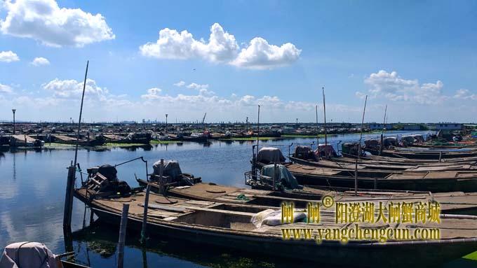 阳澄湖半岛——渔人码头