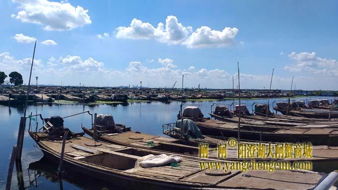 阳澄湖半岛——渔人码头