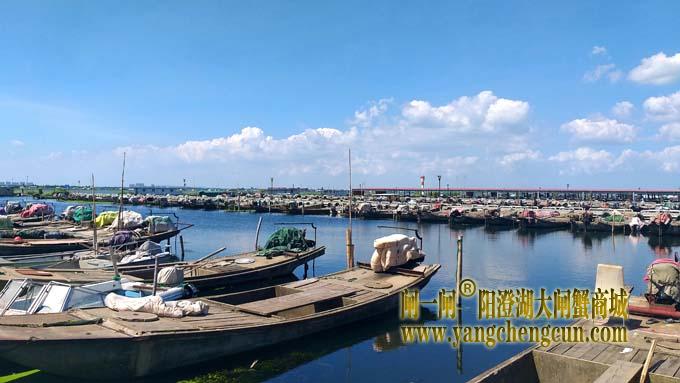 阳澄湖半岛——渔人码头