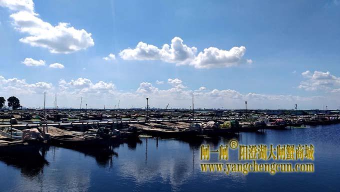 阳澄湖半岛——渔人码头