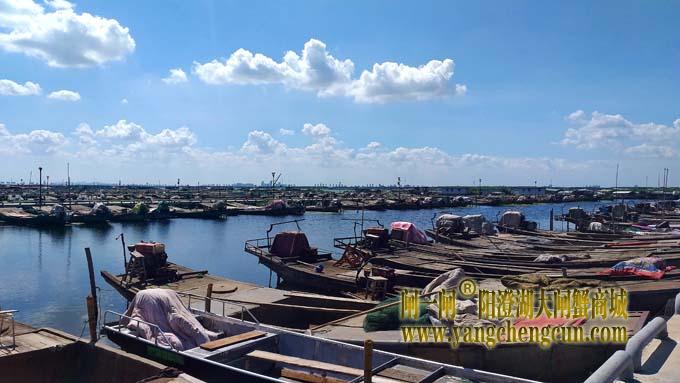 阳澄湖半岛——渔人码头