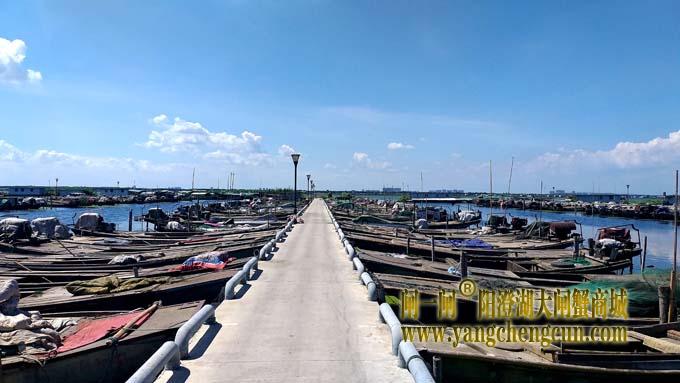 阳澄湖半岛——渔人码头