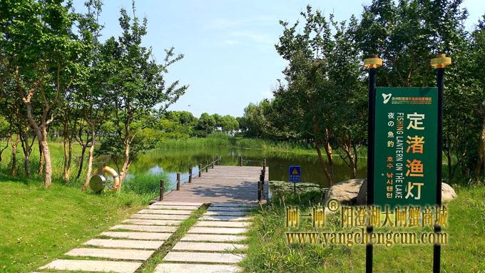 阳澄湖半岛——云杉湖公园