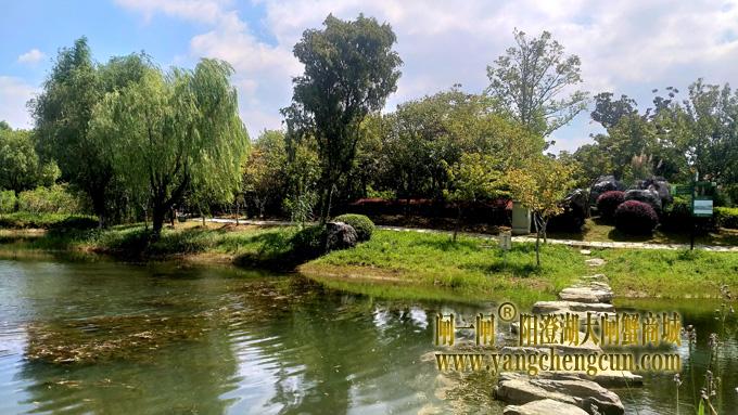 阳澄湖半岛————仙樱湖公园（二）