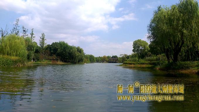 阳澄湖半岛————仙樱湖公园（二）