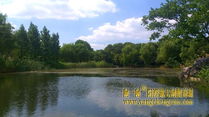 阳澄湖半岛————仙樱湖公园（二）