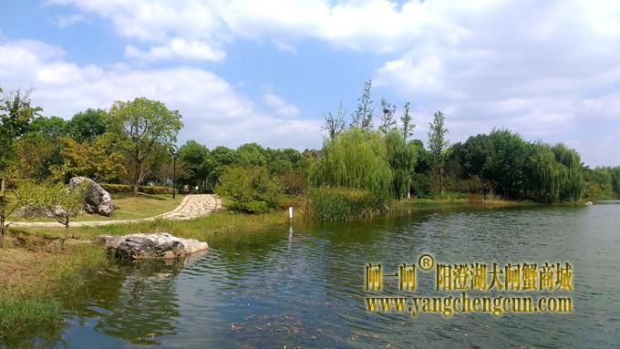 阳澄湖半岛————仙樱湖公园（二）