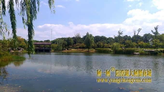 阳澄湖半岛————仙樱湖公园（二）