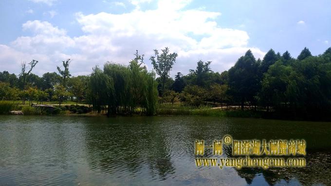 阳澄湖半岛————仙樱湖公园（二）