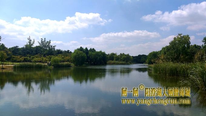 阳澄湖半岛————仙樱湖公园（二）