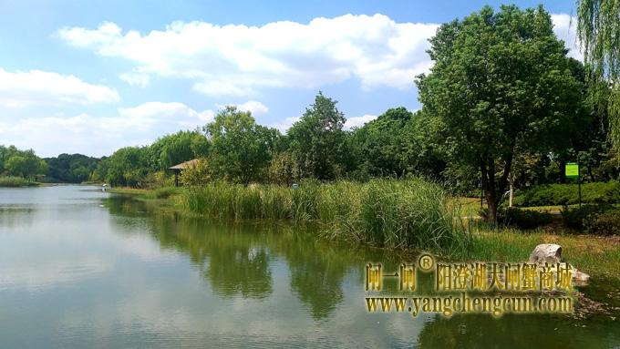 阳澄湖半岛————仙樱湖公园（二）