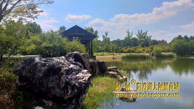 阳澄湖半岛————仙樱湖公园（二）