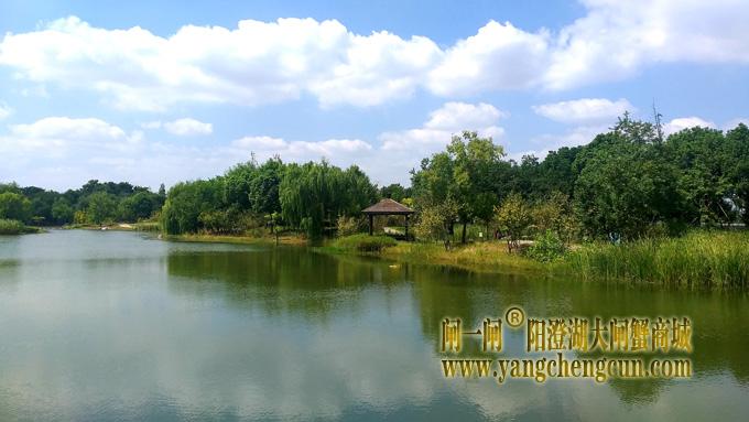 阳澄湖半岛————仙樱湖公园（二）