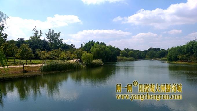 阳澄湖半岛————仙樱湖公园（二）