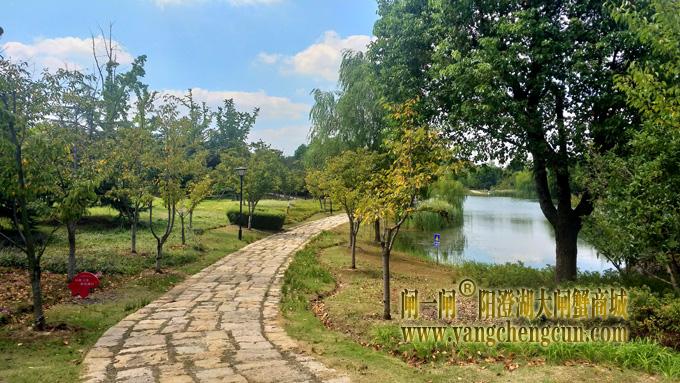 阳澄湖半岛————仙樱湖公园（二）