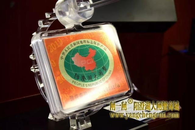 2019年阳澄湖大闸蟹防伪蟹扣