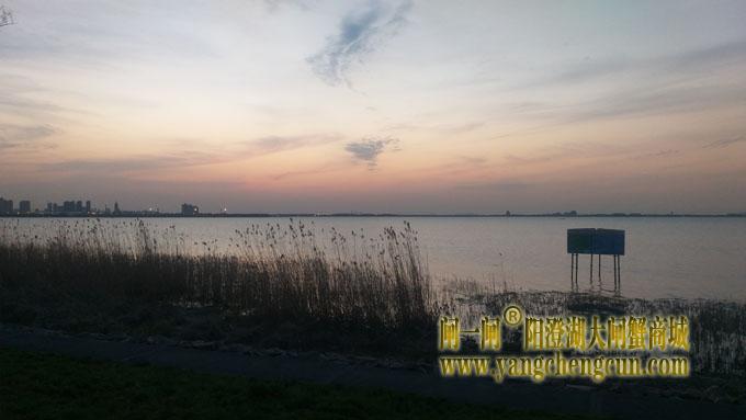 阳澄湖（黄昏时分）