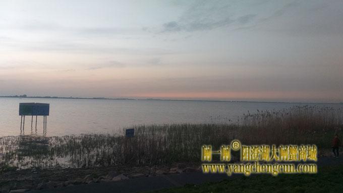 阳澄湖（黄昏时分）