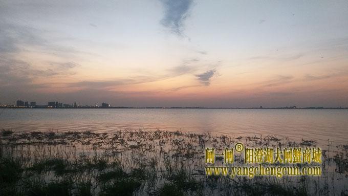 阳澄湖（黄昏时分）