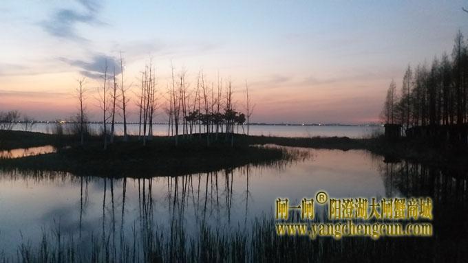 阳澄湖（黄昏时分）