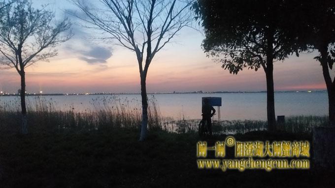 阳澄湖（黄昏时分）