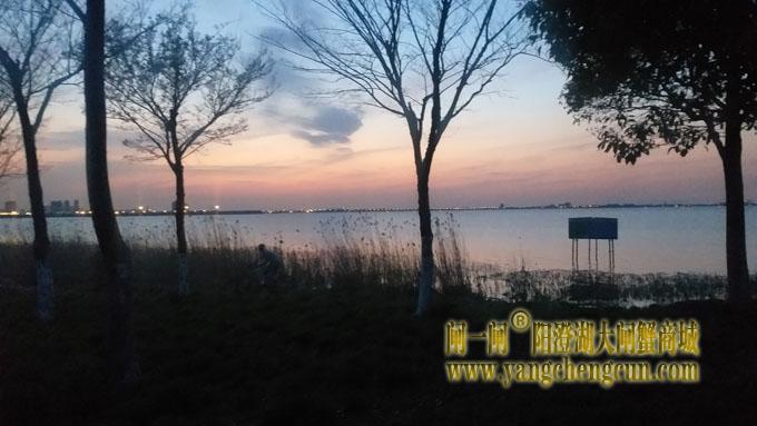 阳澄湖（黄昏时分）