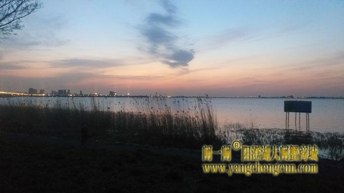 阳澄湖（黄昏时分）