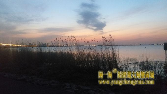 阳澄湖（黄昏时分）