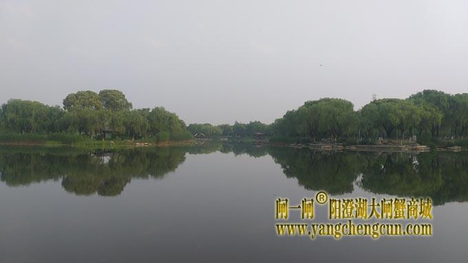 阳澄湖半岛——莲池春晓