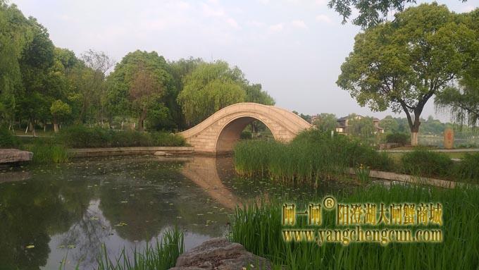 阳澄湖半岛——莲池春晓