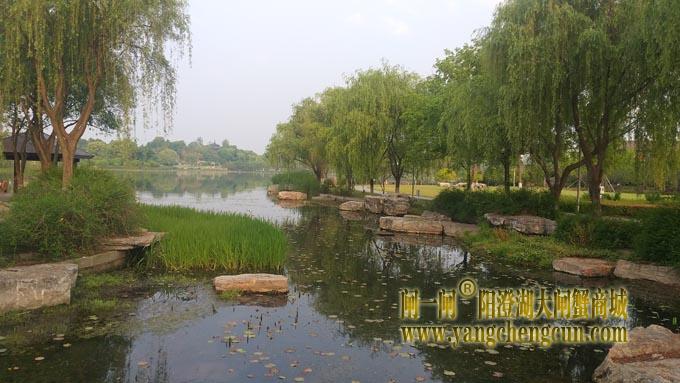 阳澄湖半岛——莲池春晓