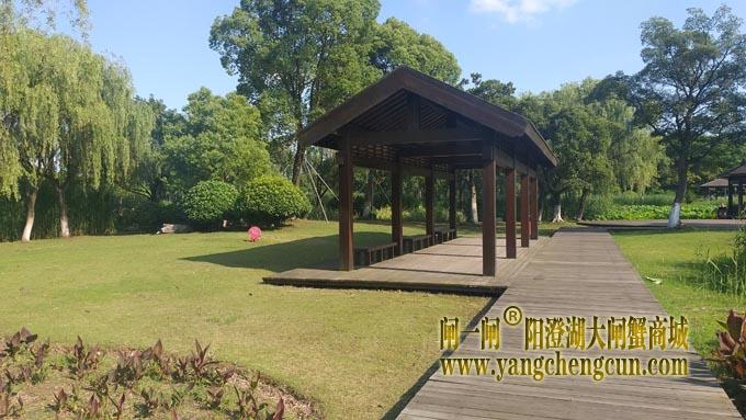 阳澄湖半岛——莲池湖里的转鱼墩