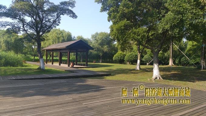 阳澄湖半岛——莲池湖里的转鱼墩