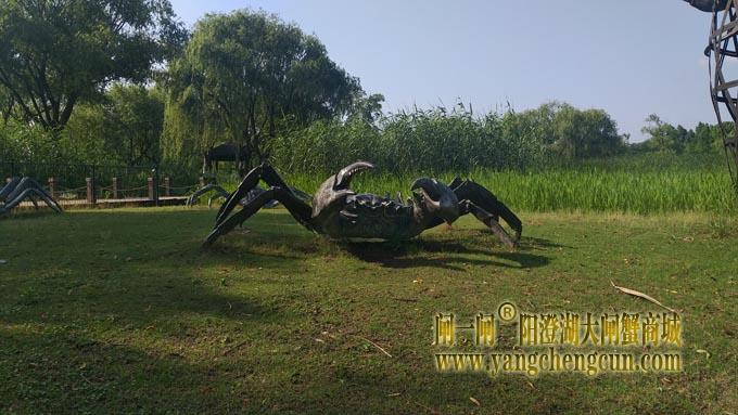 阳澄湖半岛——莲池湖里的转鱼墩