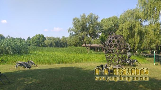 阳澄湖半岛——莲池湖里的转鱼墩