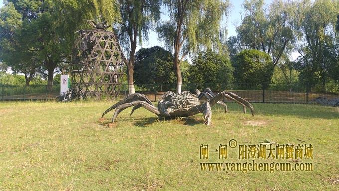 阳澄湖半岛——莲池湖里的转鱼墩