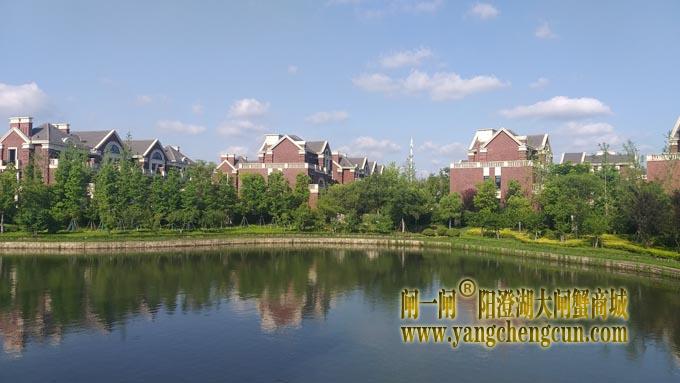 华谊兄弟艺术家村